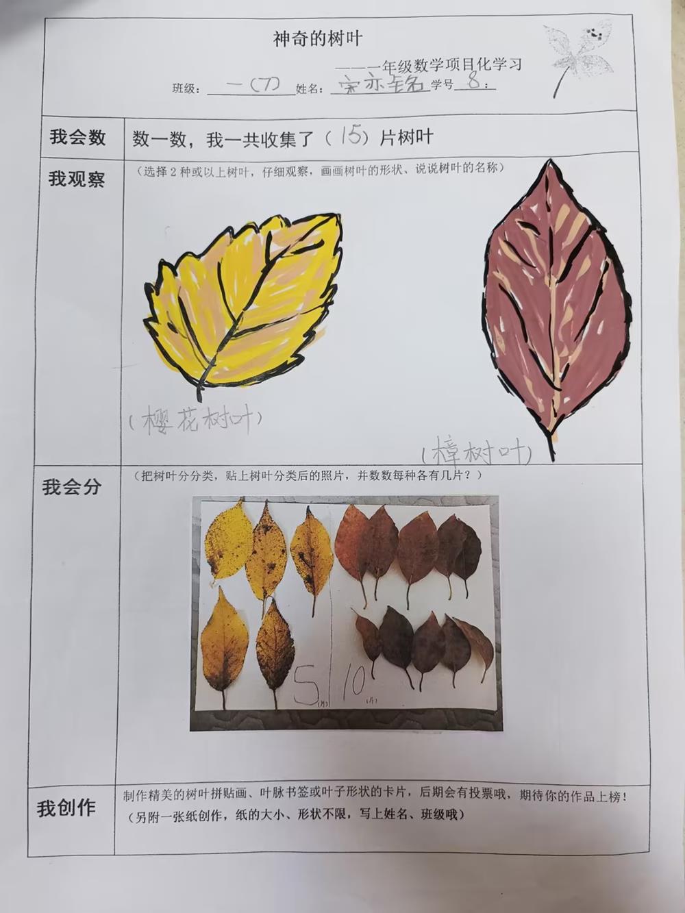 dcc605fc0ea84487ac809229452359ce.jpg