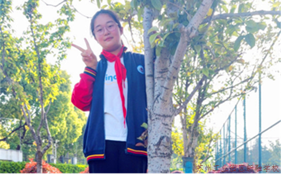 fd12a32559174ea28e6b951d0adc44ad.png