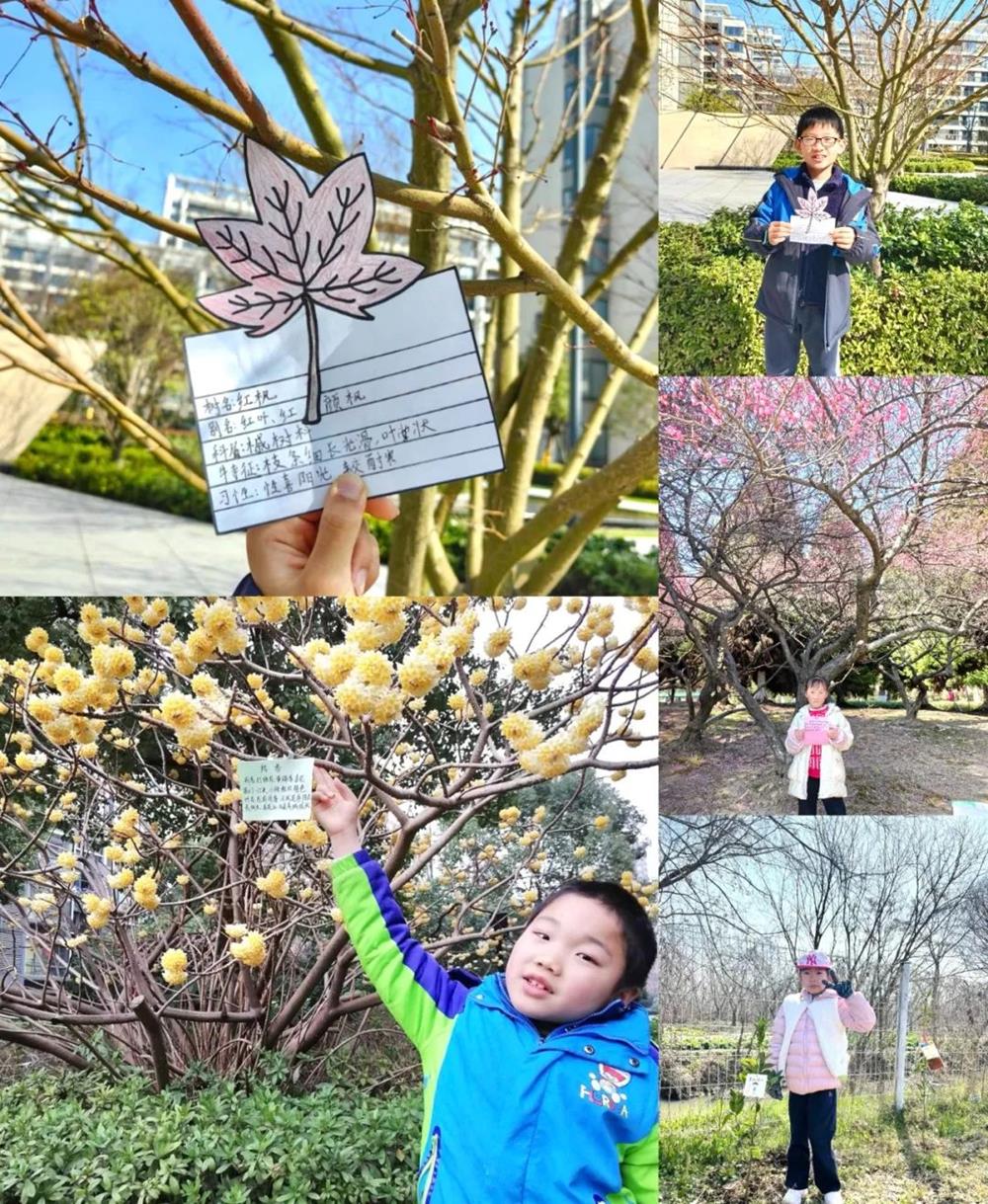 be3e3915dae547129a49c73a798df0d4.jpg